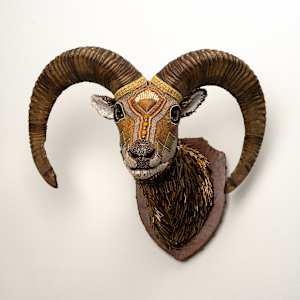 Ramses by Kelly Nygard