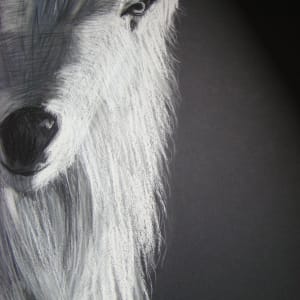 The Goat - Strength, Courage and Independance by Lorraine Yigit  Image: Detail 1