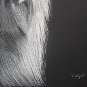 The Goat - Strength, Courage and Independance by Lorraine Yigit  Image: Detail 2