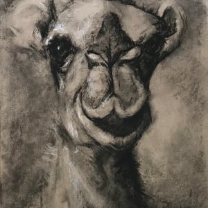 A Little More To The Left by Susan F. Schafer Studio  Image: Charcoal sketch