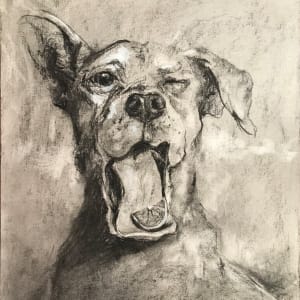 Whiskey Sour by Susan F. Schafer Studio  Image: Charcoal sketch