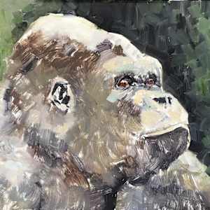 Contemplation by Susan F. Schafer Studio  Image: Contemplation lay in