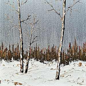 Aspens - Silver Skies 49a by Tara Austin Novak 