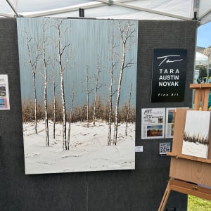 Silver Skies - Aspens Series 50 by Tara Austin Novak 