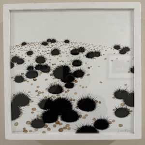 Spiny Urchins by Francesca Sundsten