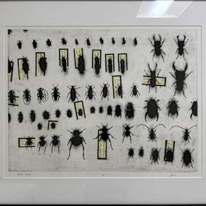 Personal Collection by Joel Peck