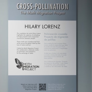 Moth Migration Project by Hilary Lorenz  Image: Moth Migration Project Denver Botanic Garden, 2022