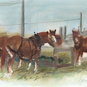 Let’s Eat by Bruce C. Cousins 