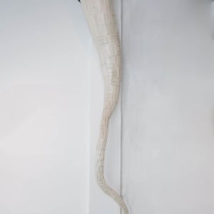 Tentacle by NANCY MINTZ