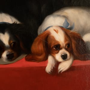 English King Spaniel Pups by John Scott 