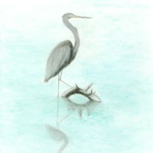 Heron on a foggy morning by Joe Addabbo