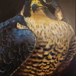 Blue Falcon by Talita M  Image: Crafted a regal blue-golden Falcon using oil and mixed media, experimenting with the Rembrandt technique for my art course. Each stroke weaves a story of precision and opulence. 