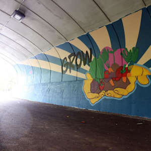 Lick Run Tunnel of Love (10th Street Greenway Mural) by Katrina Legans