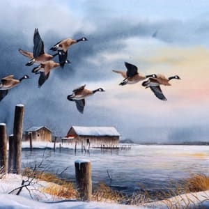 Canada Geese by George Shumate
