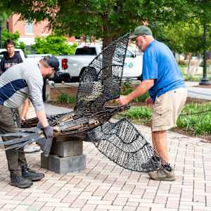 Painting the Pileated Woodpecker by Karen Pannabecker  Image: Painting the Pileated Woodpecker by Karen Pannabecker (installation image).