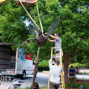 Painting the Pileated Woodpecker by Karen Pannabecker  Image: Painting the Pileated Woodpecker by Karen Pannabecker (installation image).