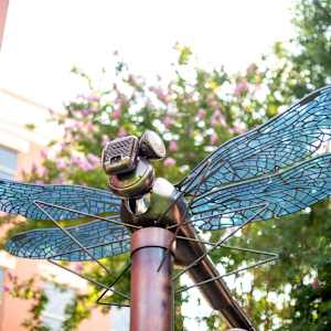 Dragonfly by Kirk Seese  Image: Dragonfly (detail) by Kirk Seese.