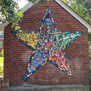 A Star is Born by Gretchen Coleman, Steven Paul