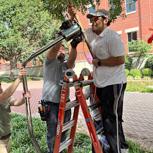 Flor de Vida by Daniel Sol Villanueva  Image: Flor de Vida by Daniel Sol Villanueva (installation).