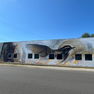 Nightingale by Jon Murrill, Thiago Valdi