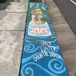 Storm Drain Murals 