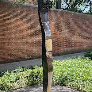 Toothbrush by Robert Redfearn