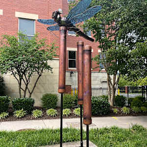 Dragonfly by Kirk Seese