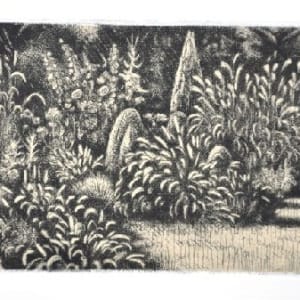 Summer Garden by Nancy Dahlstrom