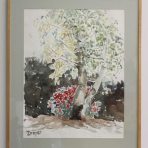 Birches by Diane Dreyer
