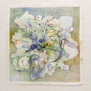 Come On, Surprise Me by Casey Murano