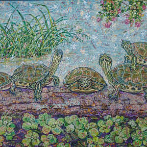 Turtle Island by Elaine Fleck