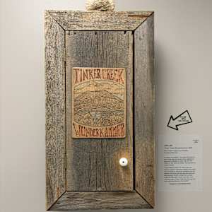 Tinker Creek Wunderkammer by Joe Lee 