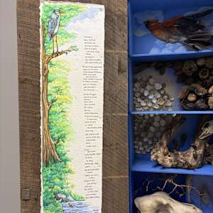 Tinker Creek Wunderkammer by Joe Lee 