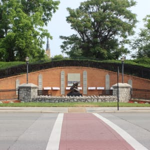 Recoil by Mark Yale Harris