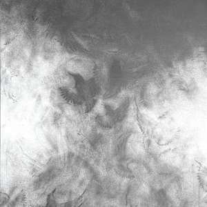 Concerto 902 by Louisa Crispin, Image 2.
