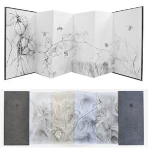 Field Notes 003 ~ Hornet (artist book) by Louisa Crispin 