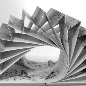 Field Notes 006 ~ Meadow Flight (artist flagbook) by Louisa Crispin 