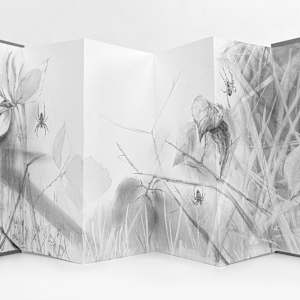 Field Notes 007 ~ Garden Spider (artist book) by Louisa Crispin, Image 7.