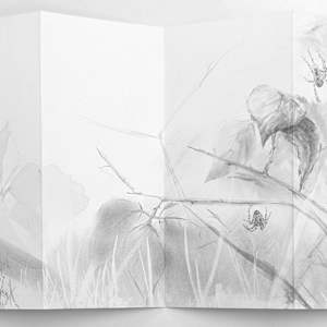 Field Notes 007 ~ Garden Spider (artist book) by Louisa Crispin, Image 12.