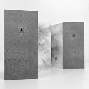 Field Notes 007 ~ Garden Spider (artist book) by Louisa Crispin, Image 4.
