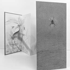 Field Notes 007 ~ Garden Spider (artist book) by Louisa Crispin, Image 5.