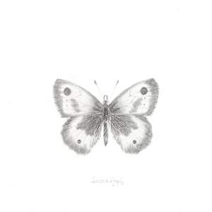 Gatekeeper GK002 by Louisa Crispin, Image 2.
