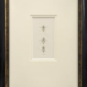 Honey Bee 3.42e by Louisa Crispin
