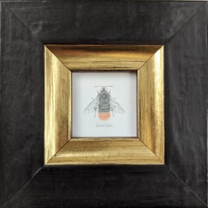 Flame Bee (var) by Louisa Crispin 
