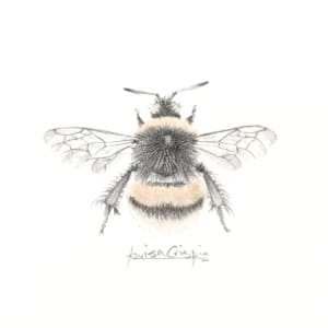 Golden Bee (var) by Louisa Crispin 