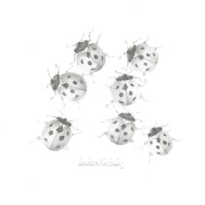 Ladybird LB004 by Louisa Crispin, Image 2.