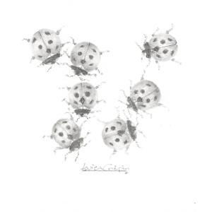 Ladybird LB005 by Louisa Crispin, Image 2.