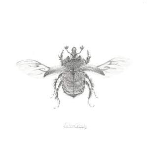 Minotaur Beetle MB003 by Louisa Crispin 