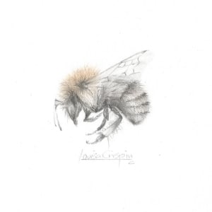 Nimble Bee NB001 by Louisa Crispin 