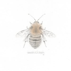 Nimble Bee NB002 by Louisa Crispin 